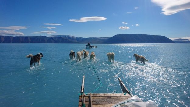 The rate of ice melt in Greenland