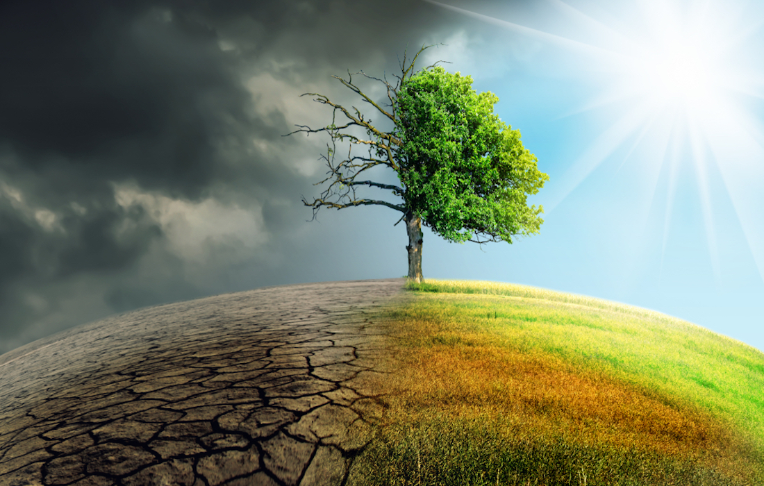 Global climate change and evolution