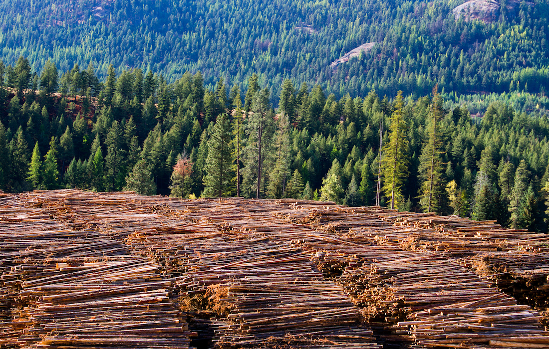 The deforestation of Canada