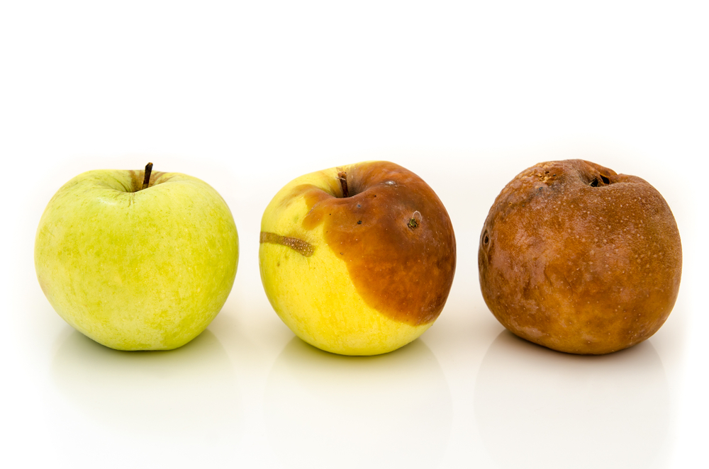 Why Do Fruits Change Colors?