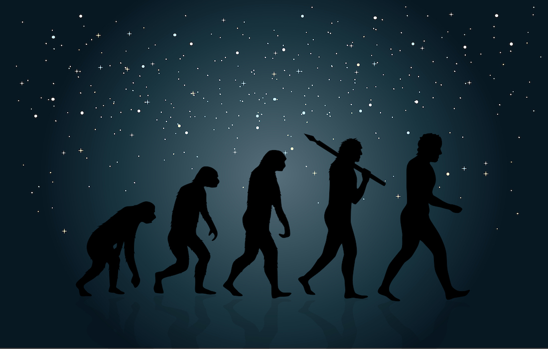 Difference between homology and homoplasy