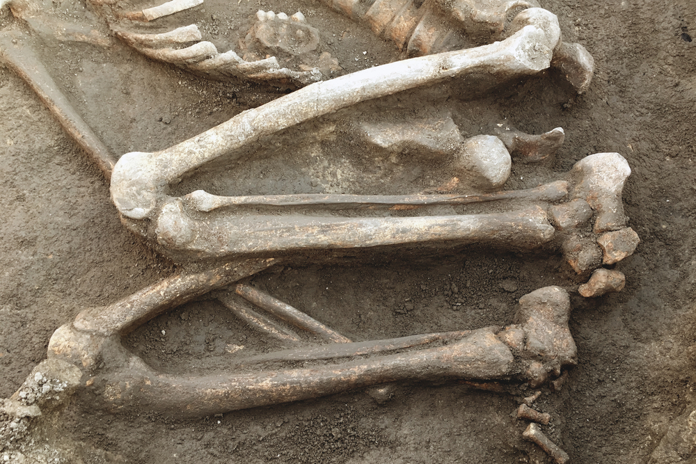 The Bones of Mad Anthony Wayne