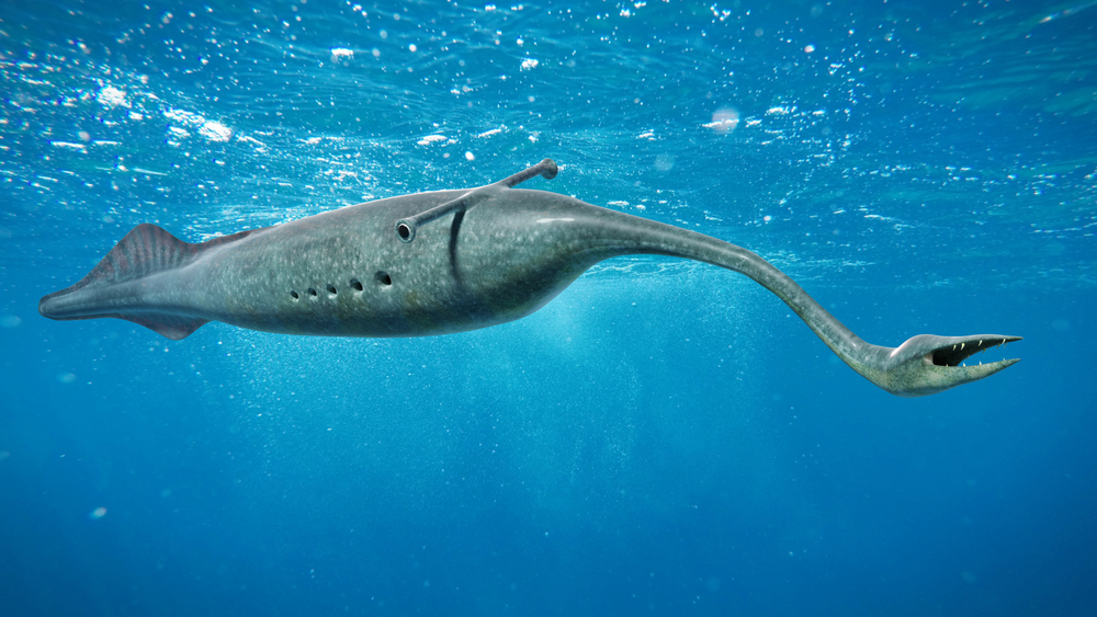 The mystery of the strange tully monster