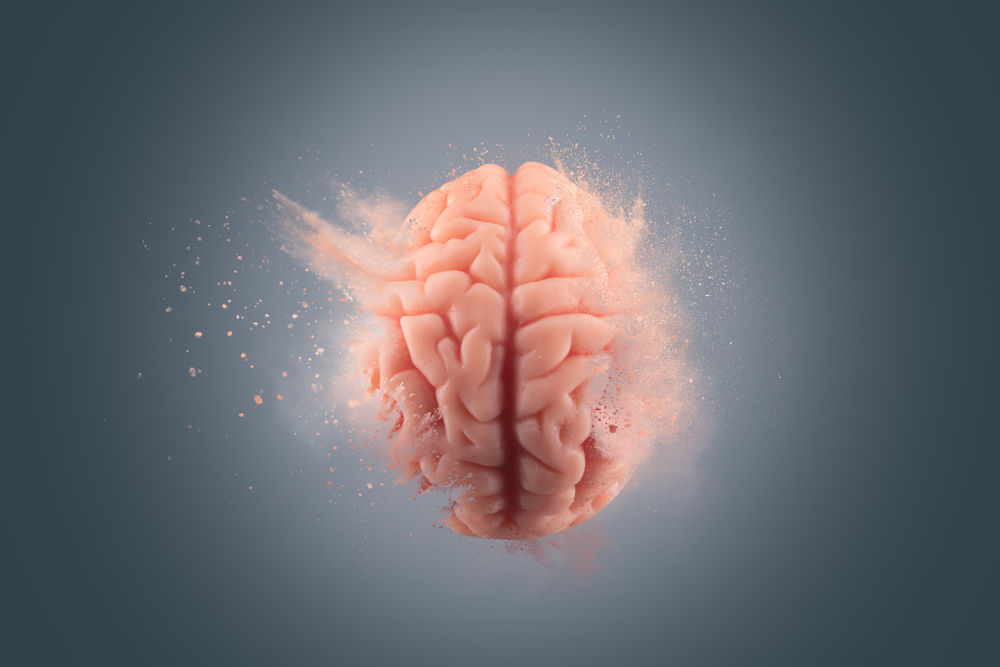 Differences between brains of primates and the human brain